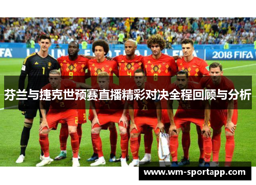 芬兰与捷克世预赛直播精彩对决全程回顾与分析